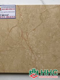 Gạch 30 x 30 ốp lát  sàn nước mới nhất
